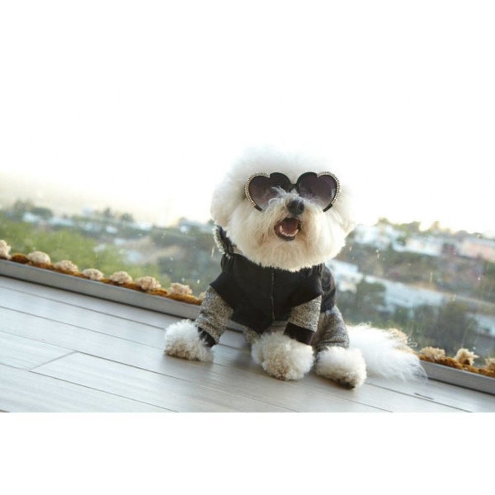 Kennedy Designer Faux Fur Hooded Dog Coat